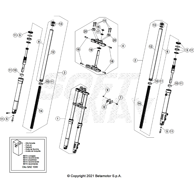 FOURCHE MOTARD RR 2T 50 X 2024 GREY